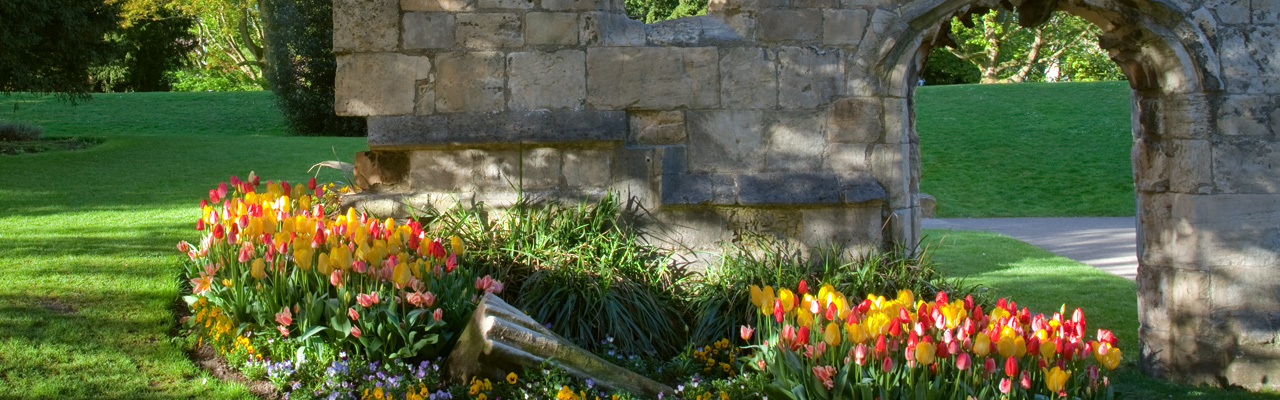 Beautiful botanical gardens