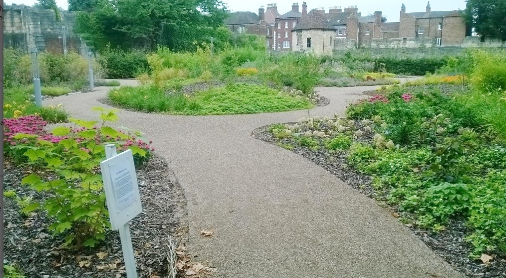 The Edible Wood in the York Museum Gardens