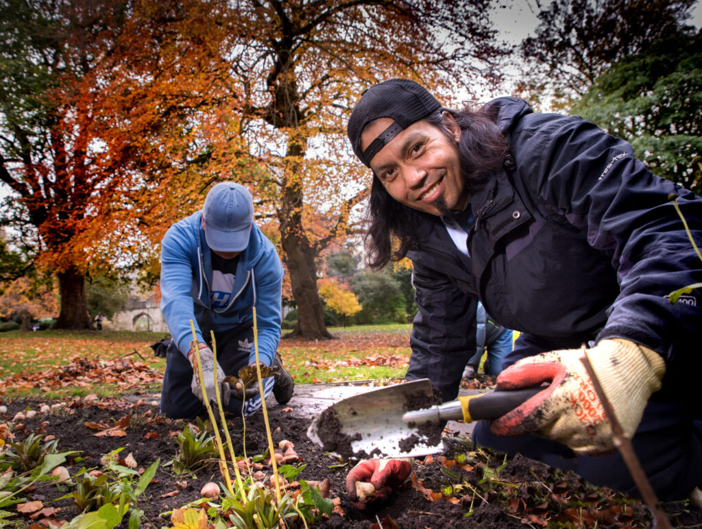 Members of the Rider York Sports and Social Club, Tony Richmond (left) and Dinesh Manandhar (right), pictured planting tulip bulbs in York Museums Gardens following the donation. Photo by Frank Dwyer.